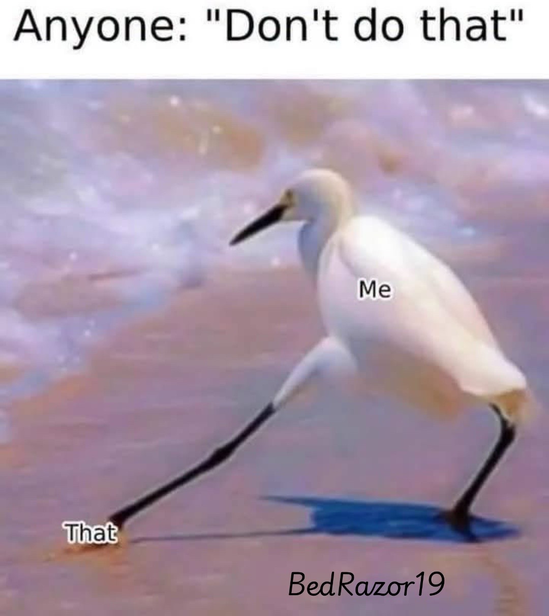 @BedRazor19