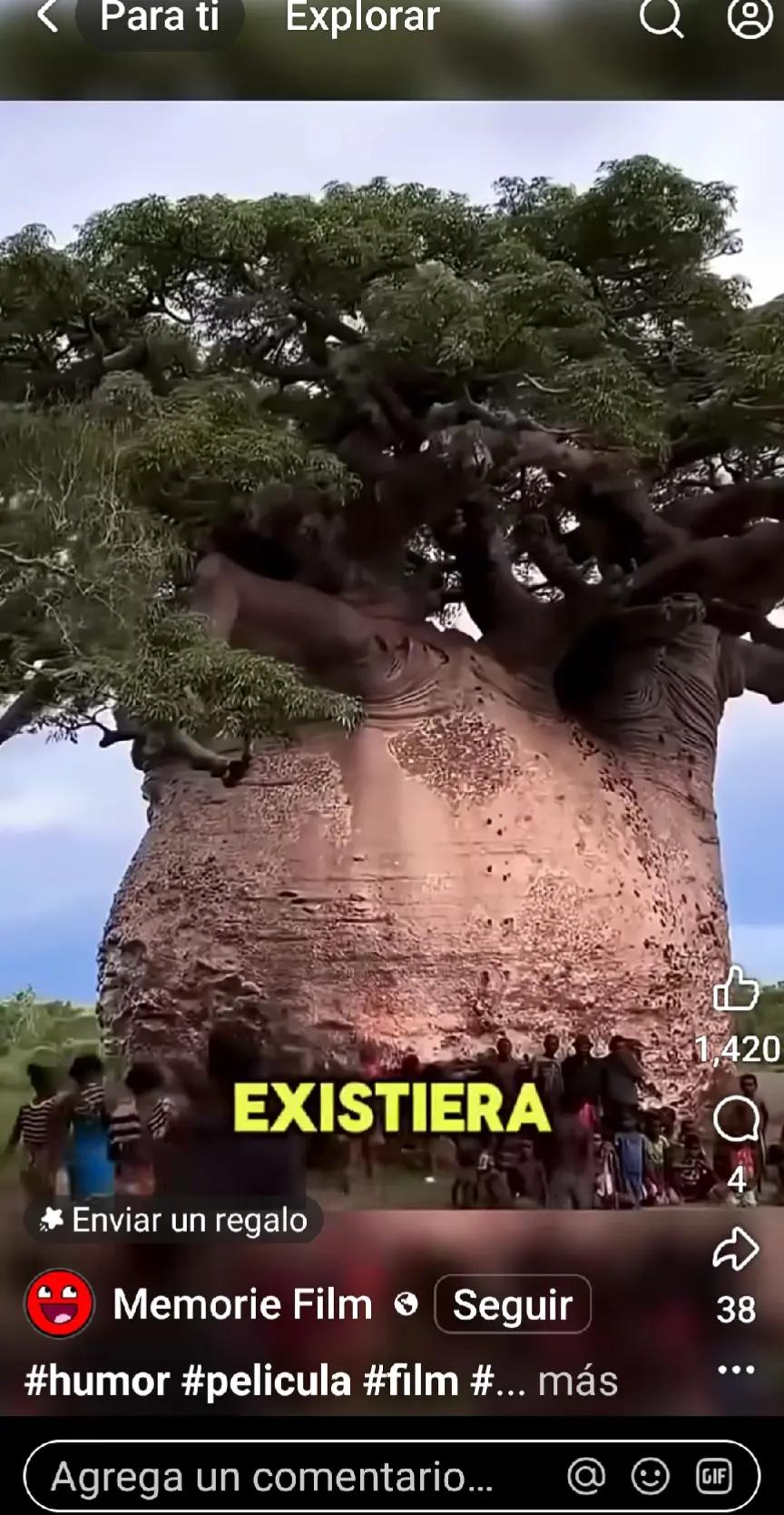 @josevalenzuela8164