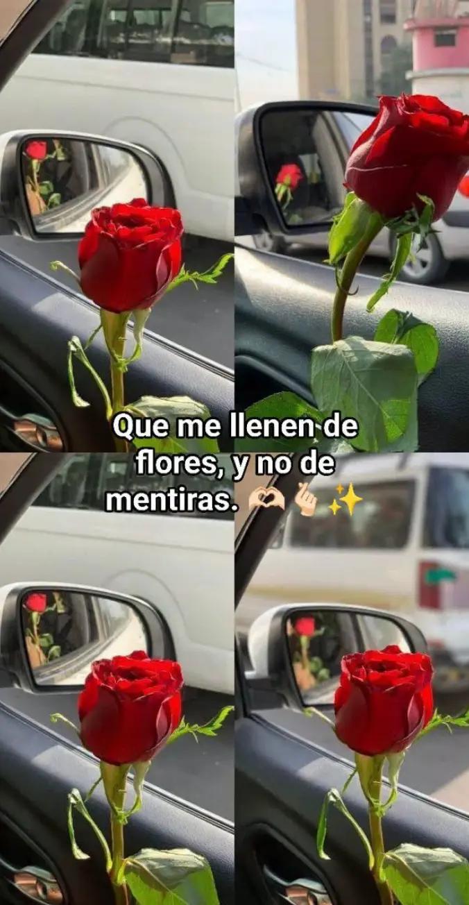 @Celene Fernandez