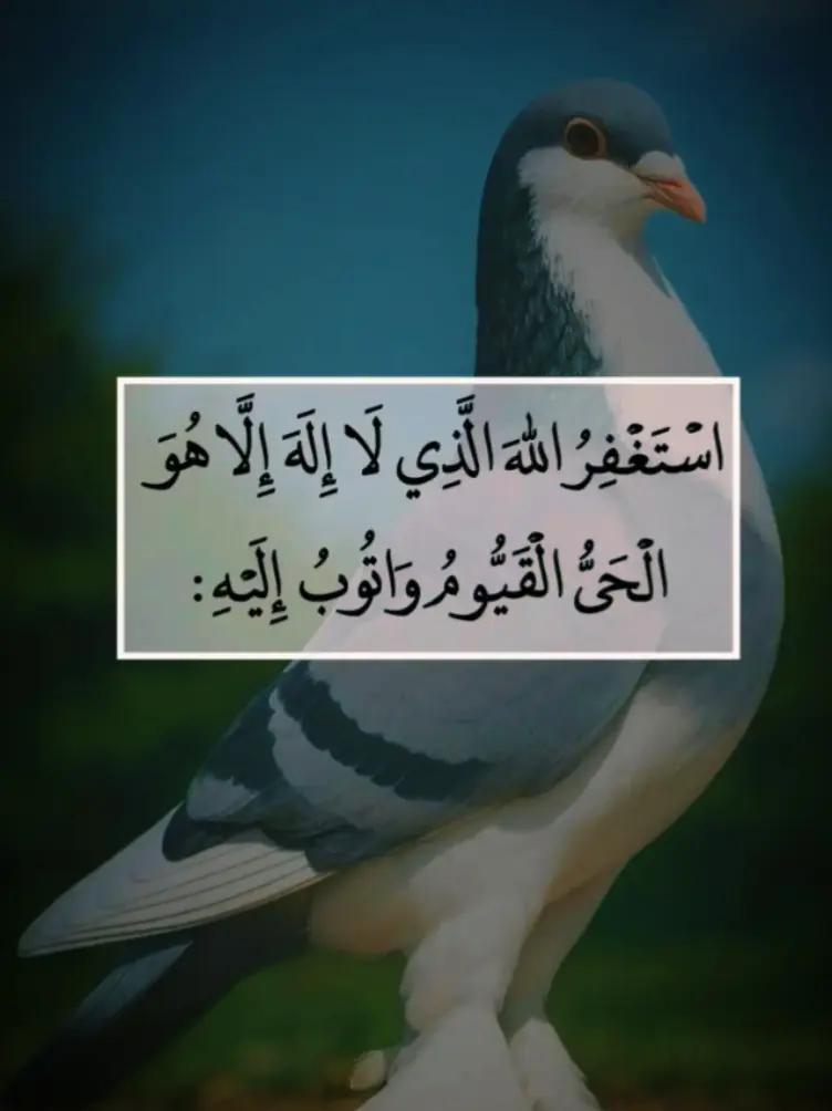 @@islamicvideotiktok341