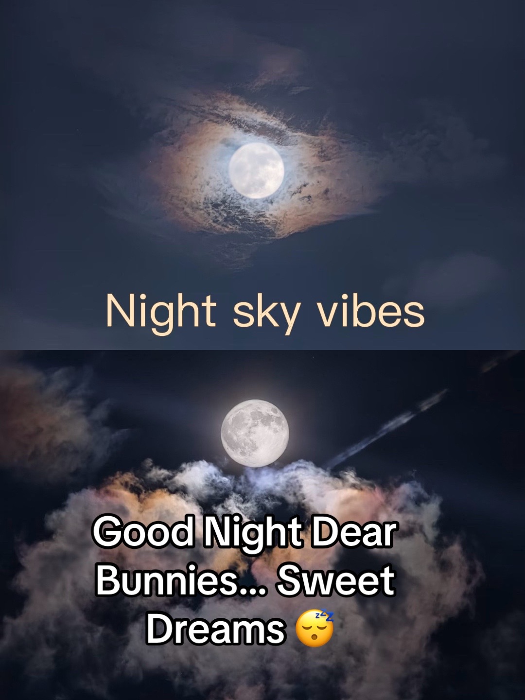 @Bunnytakesnotes1111