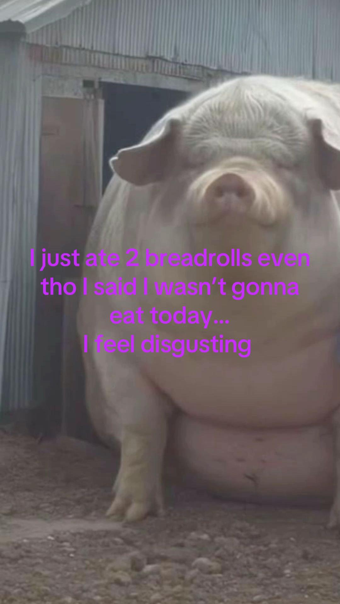 @⭐️