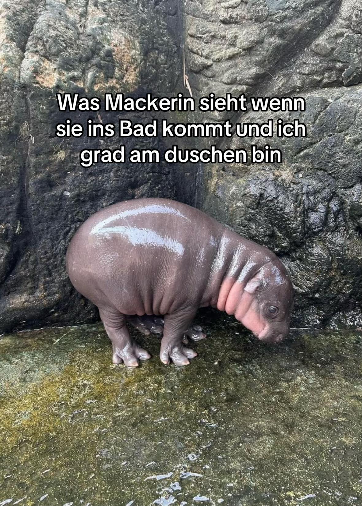 @mus1c_archive