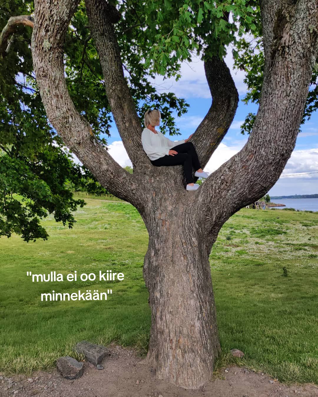 @Jenni Lindqvist