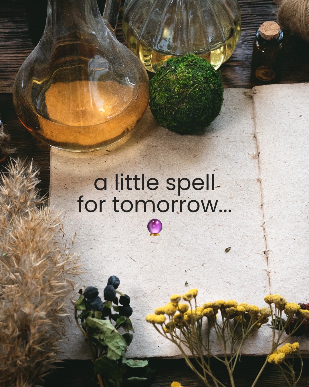 @1iota