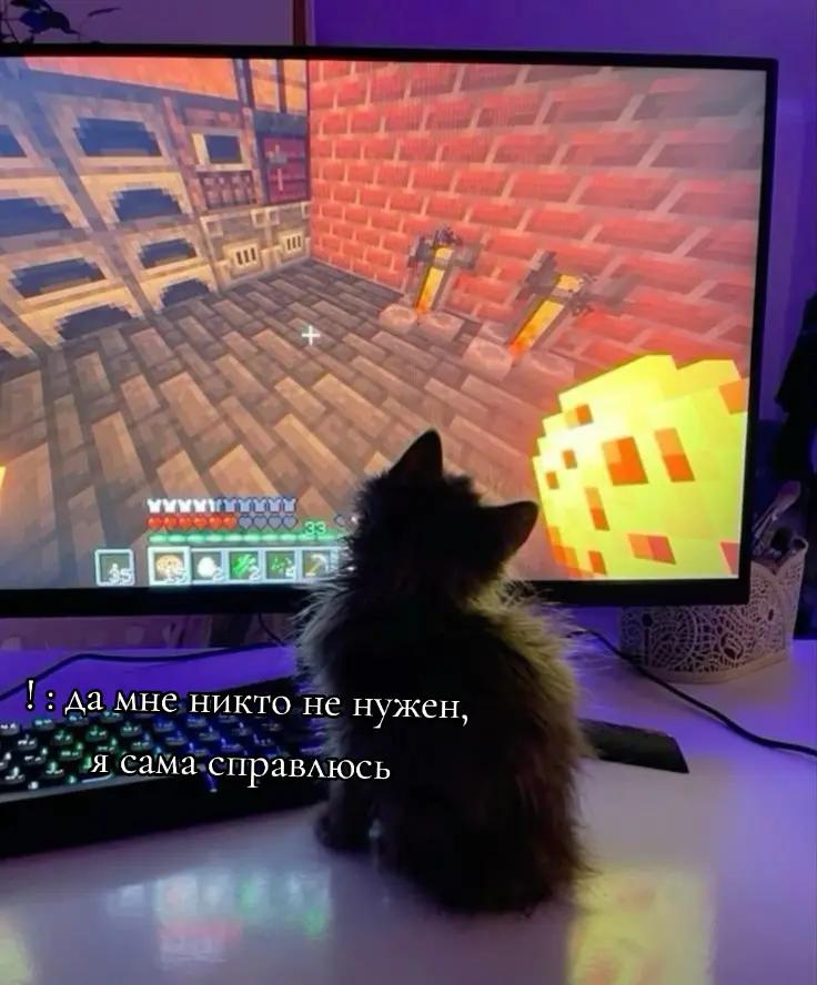 @Гнил Няш