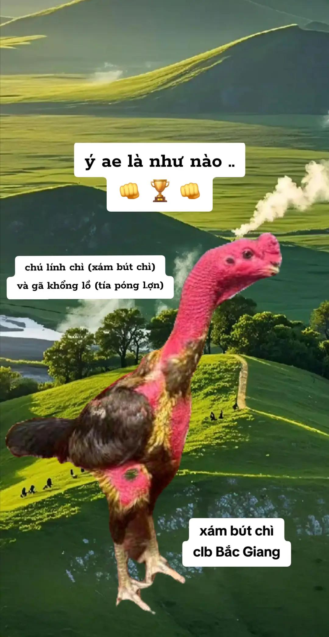 @nông thành trung