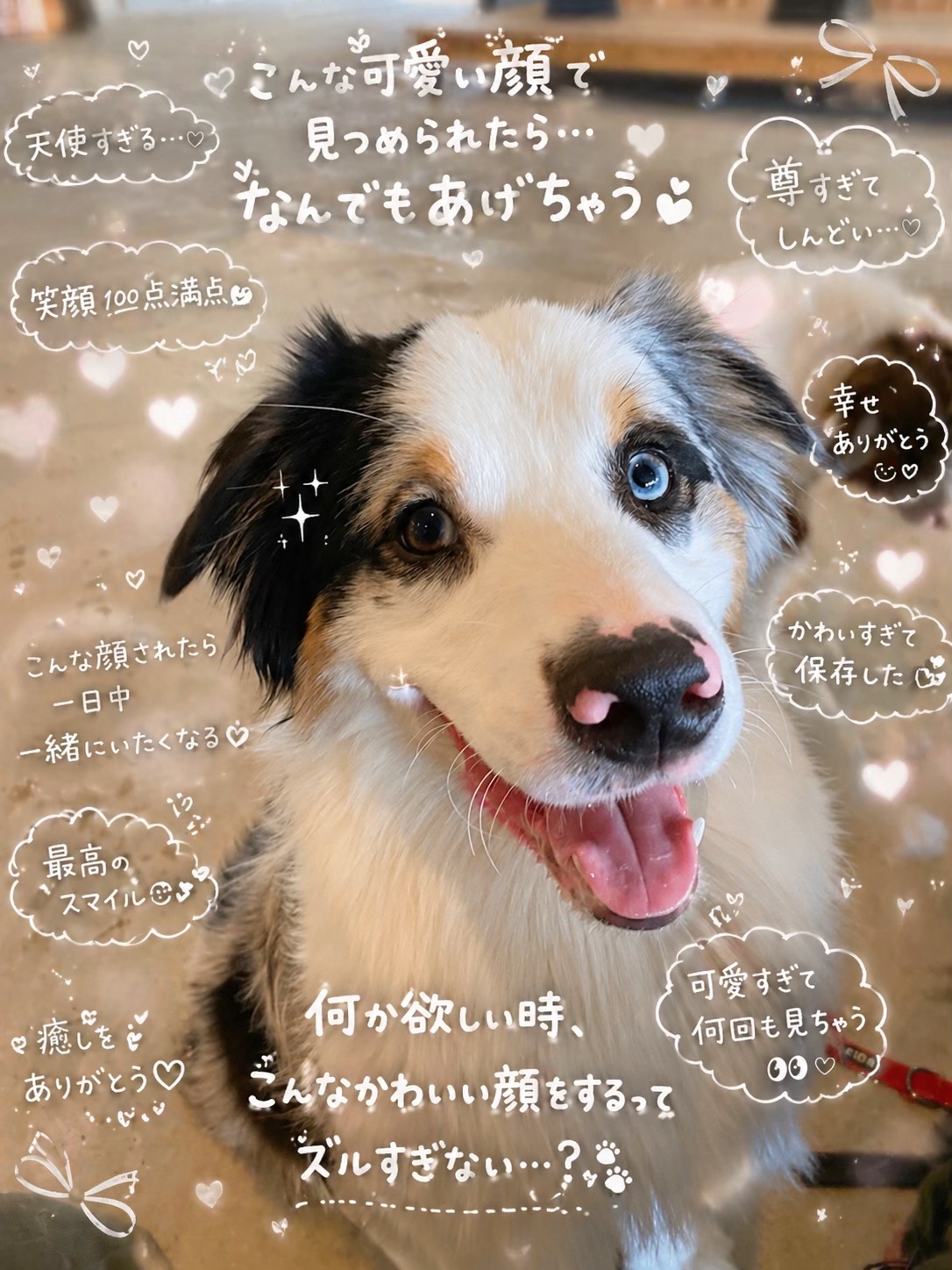 @サン&タマ