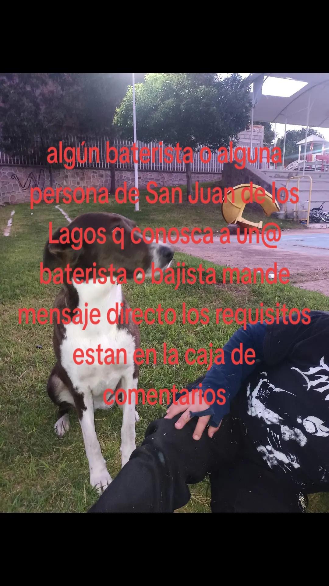 @chambas_kurco_emotiza