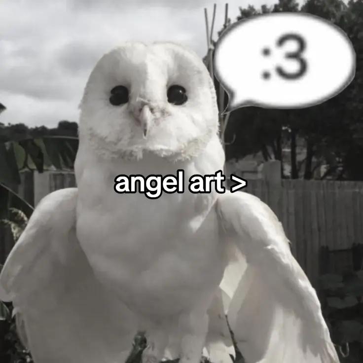 @mawoko
