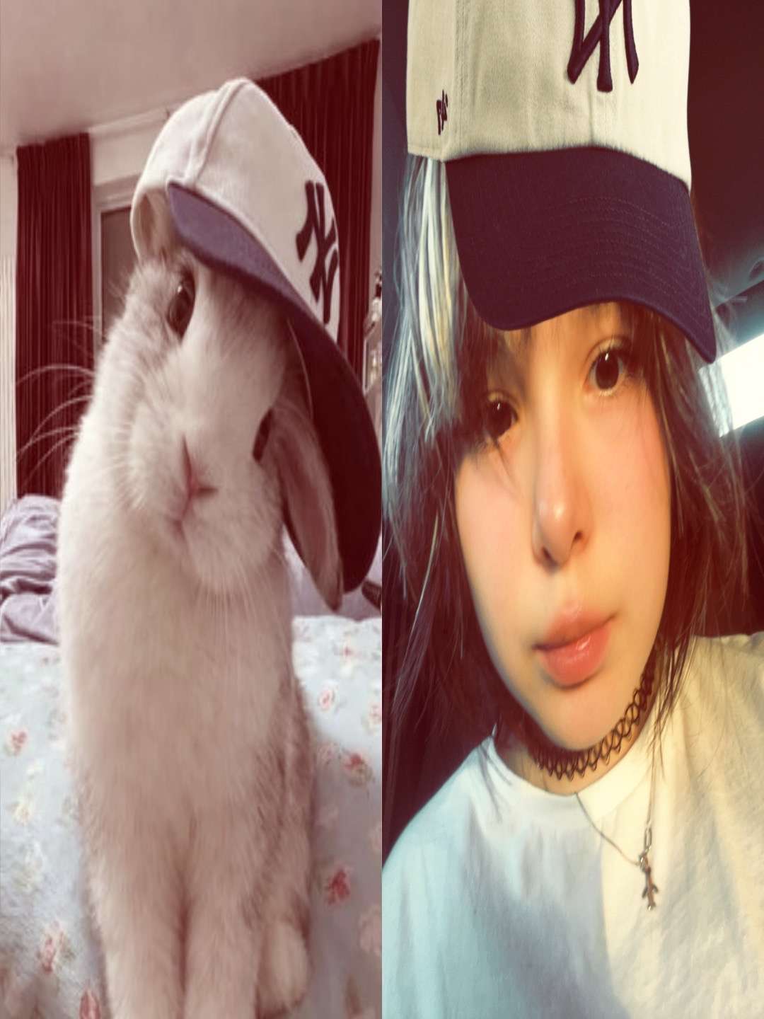 @kaori🀄️