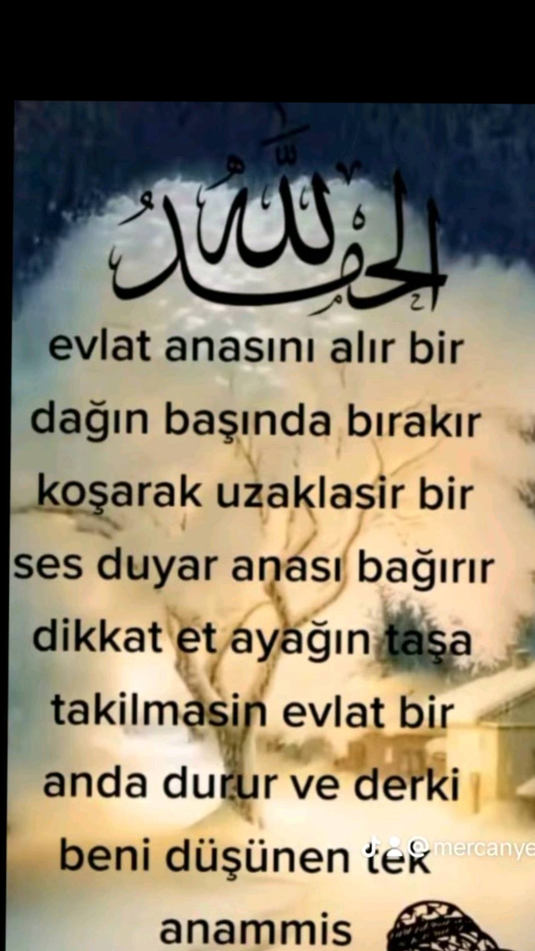 @EMİR ATAŞ 13/33