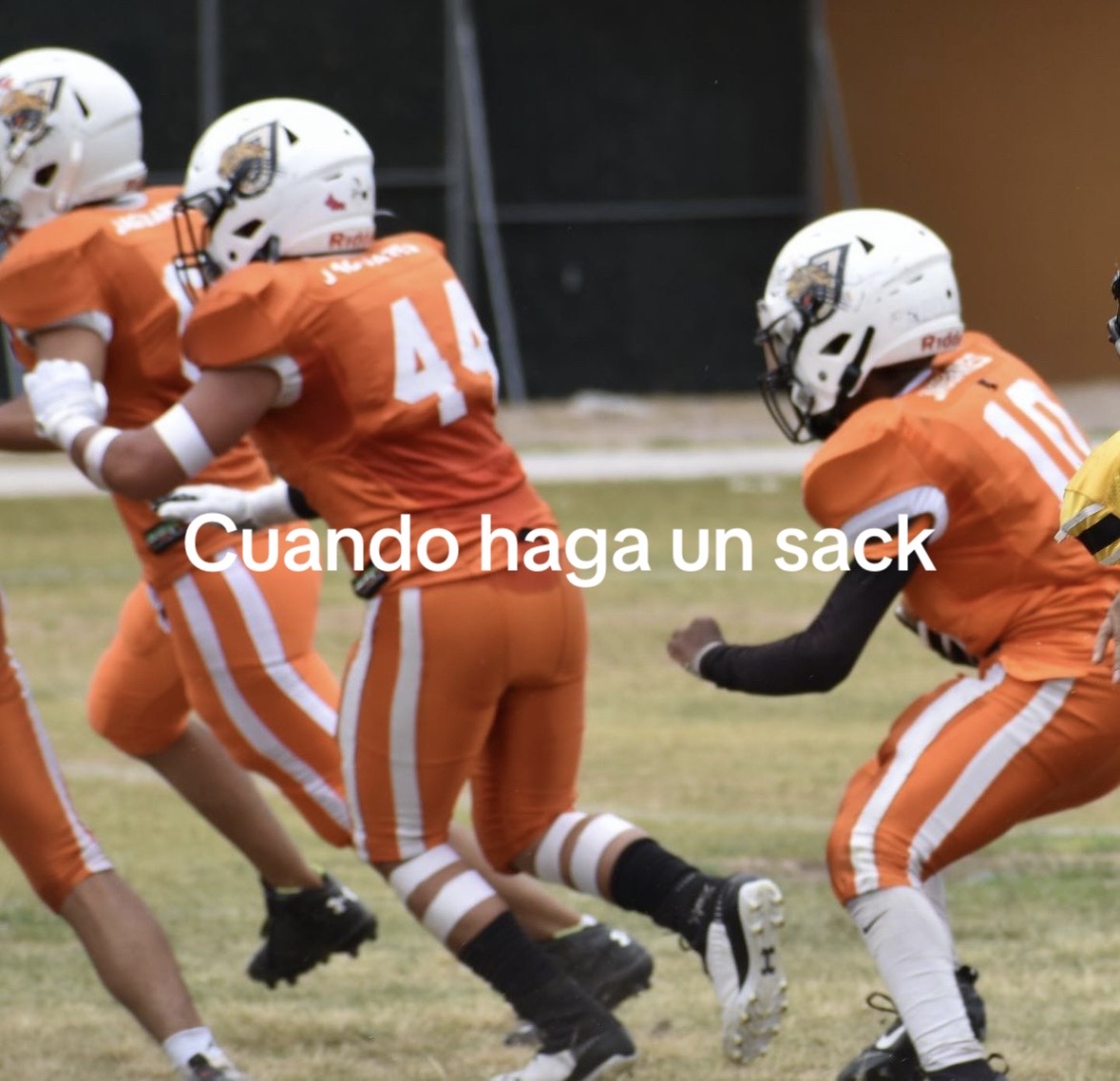 @Tadeo Melendez huerta