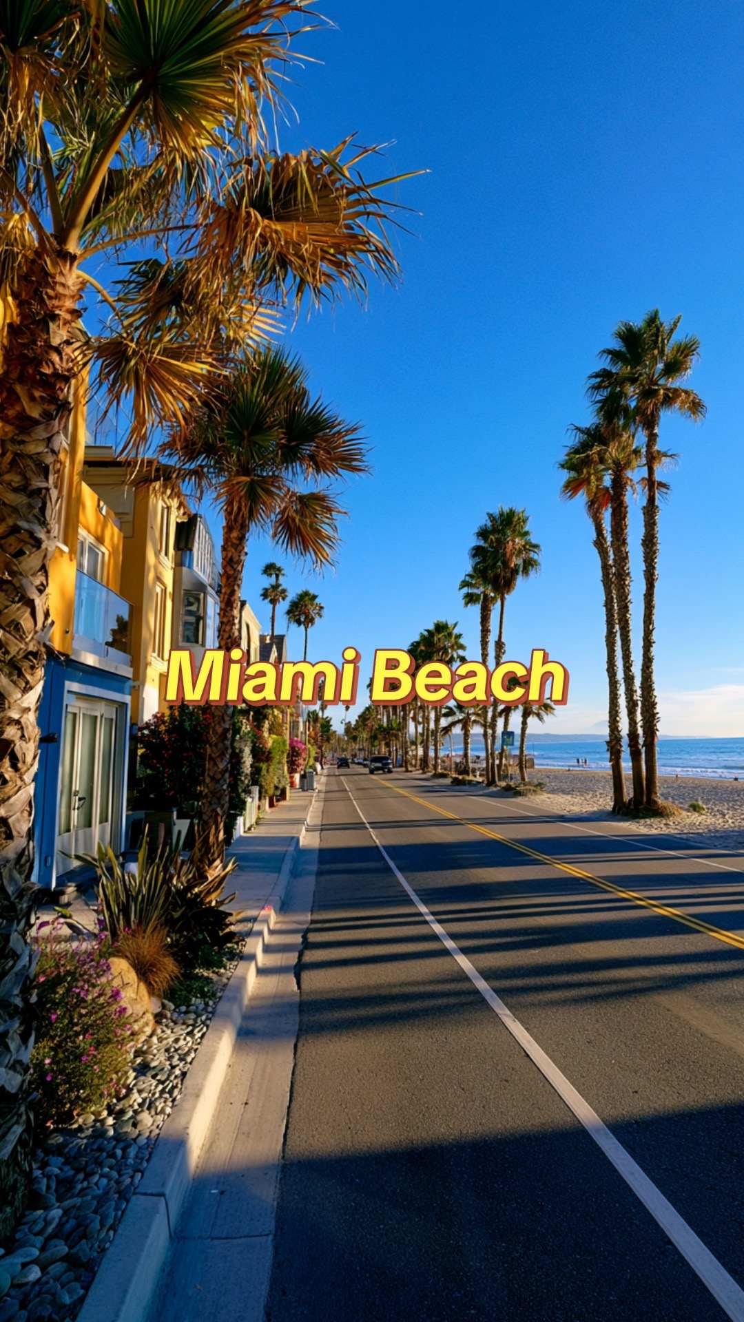 @Miami Raiden