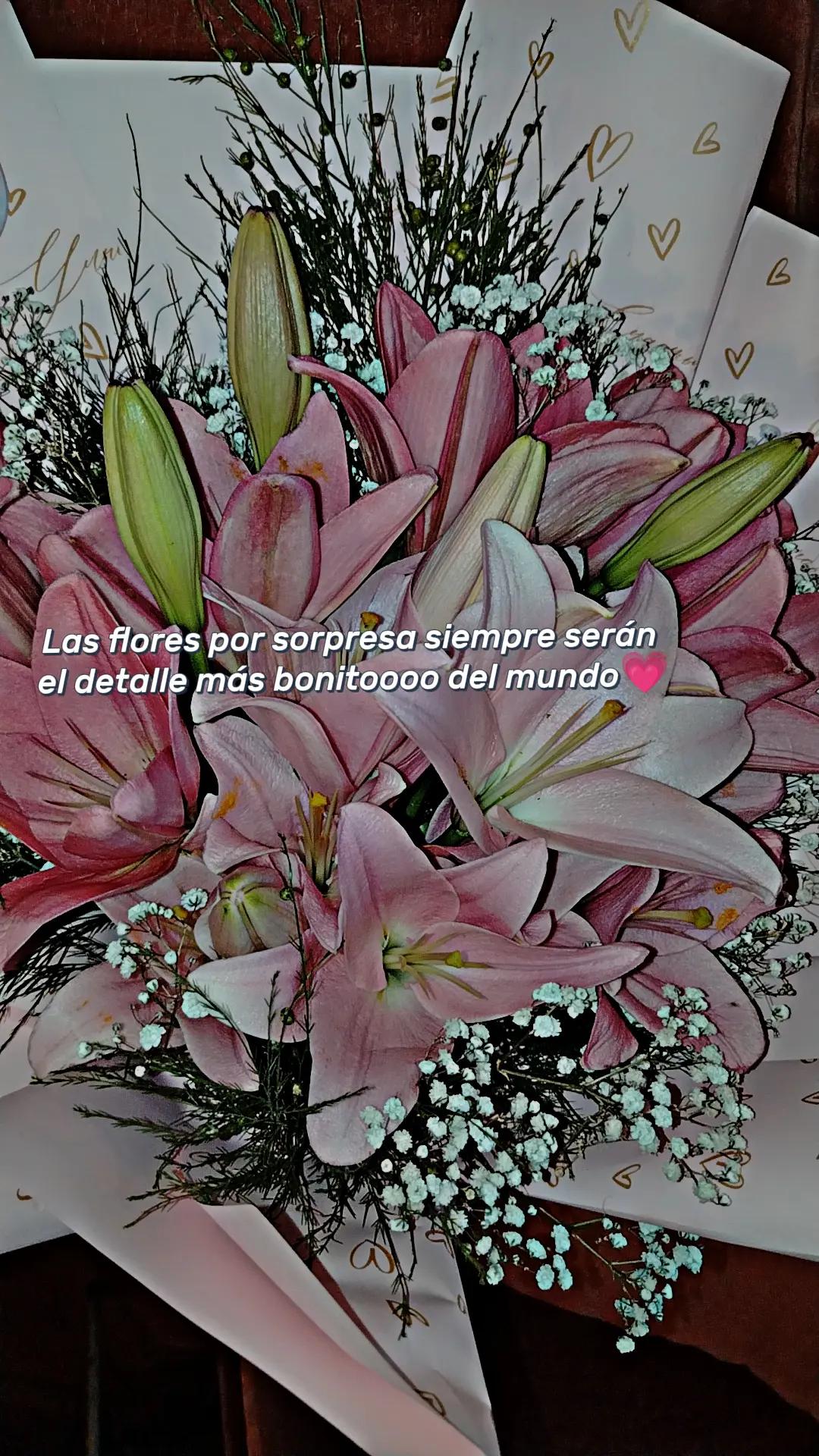 @DARITA