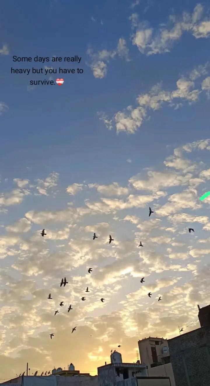 @م🦋