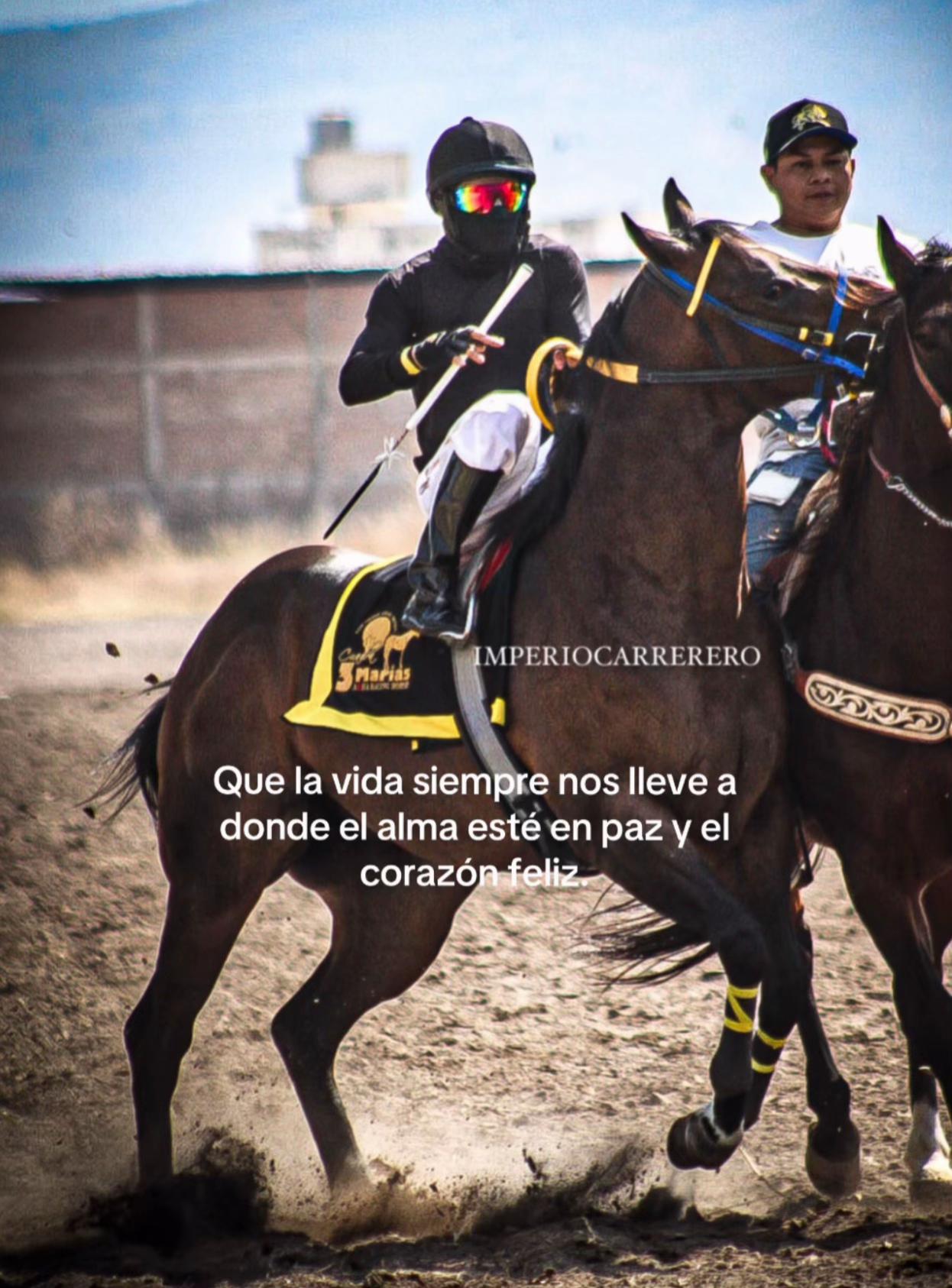 @Miguel Rodriguez 🏆