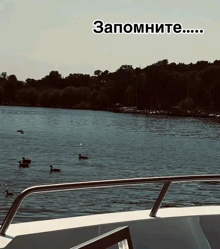@koliapopovich