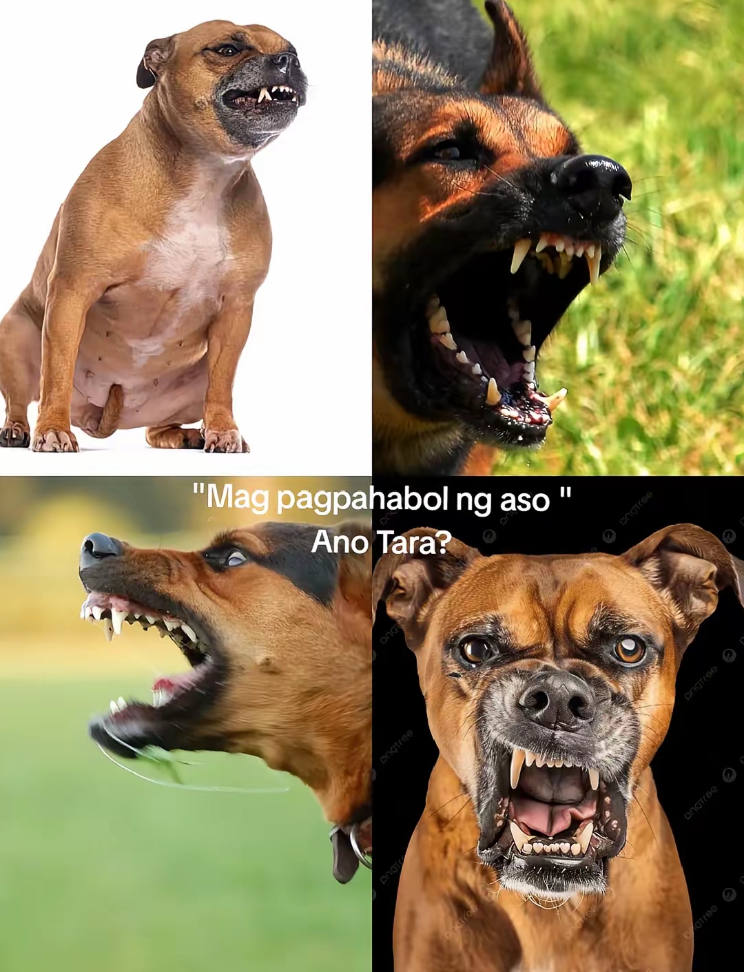 @Tubolngsantol