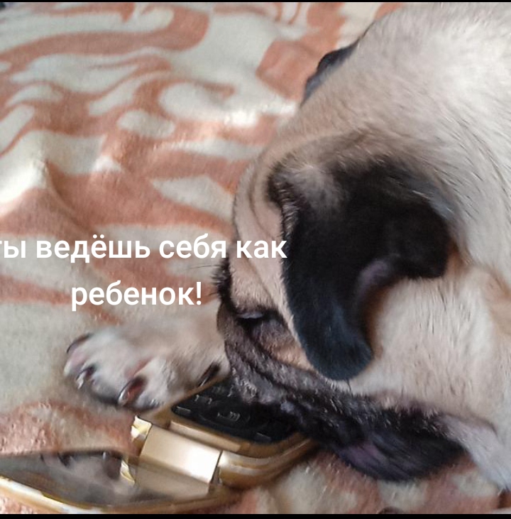@недопонятый гений