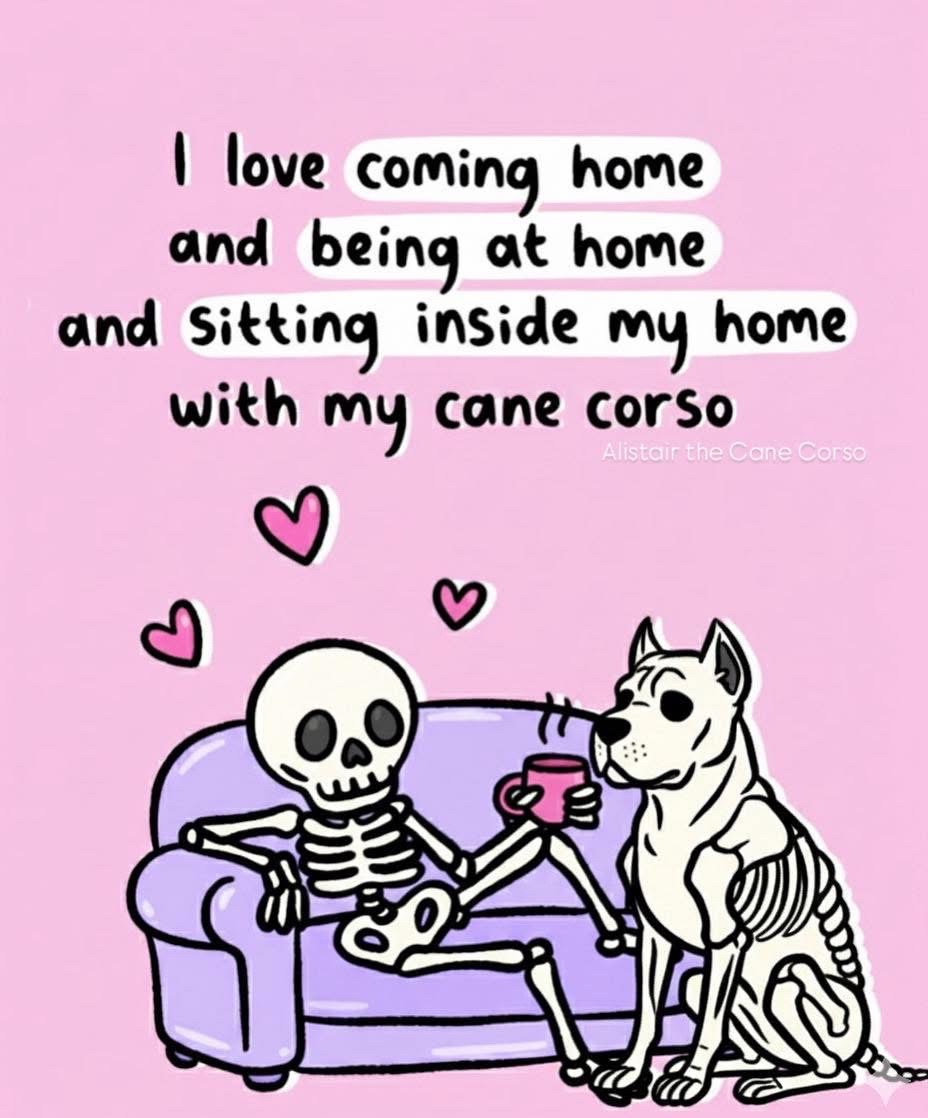 @Alistair the Cane Corso