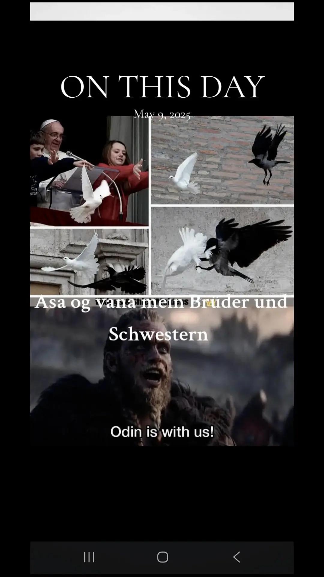 @Old man Berserker🪓Úlfheđnar