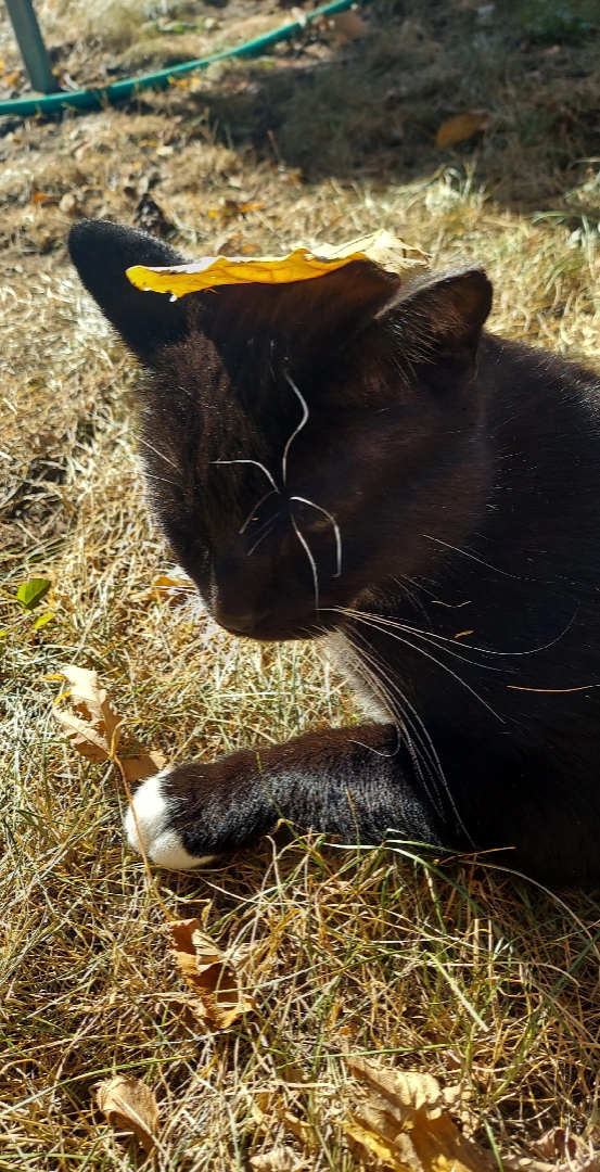@SisTerCaT48