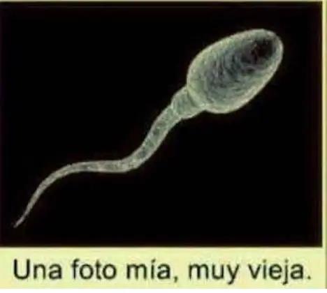 @W@RRI@R_BLA