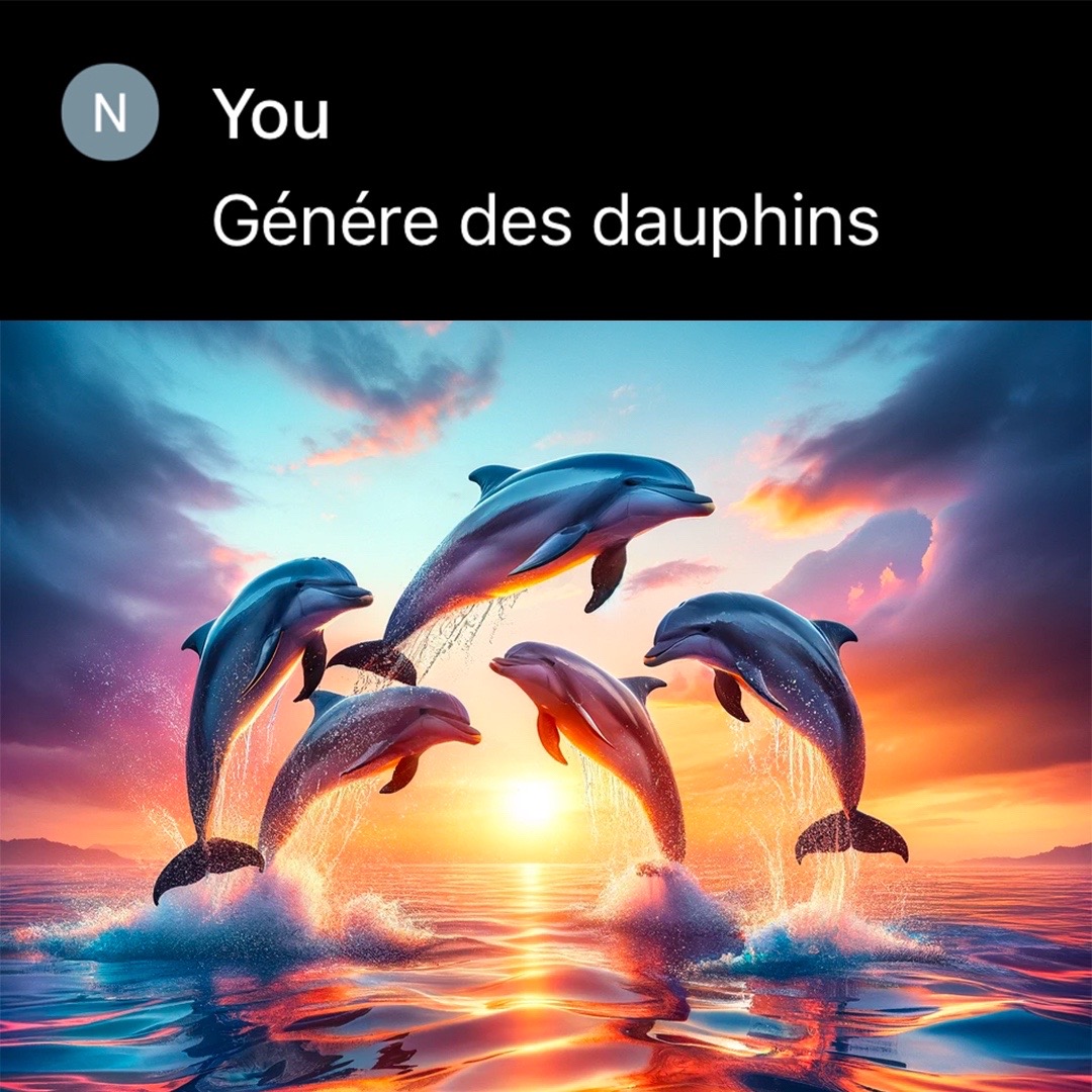 @Petit Fakir