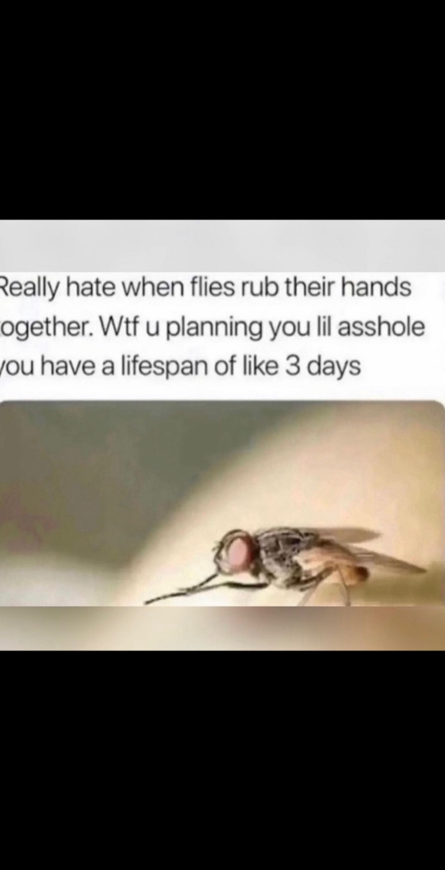 @MONEY