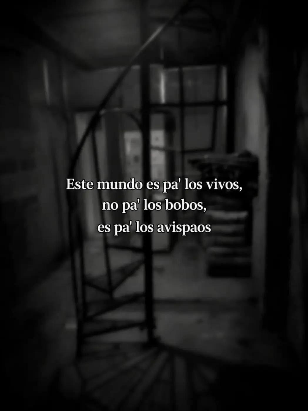 @Meelromero11