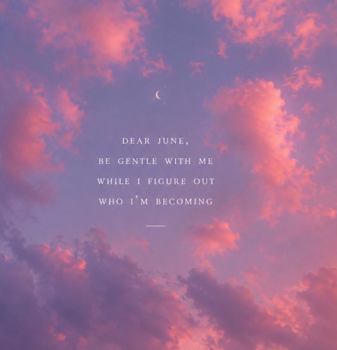 @Amanda Cisko