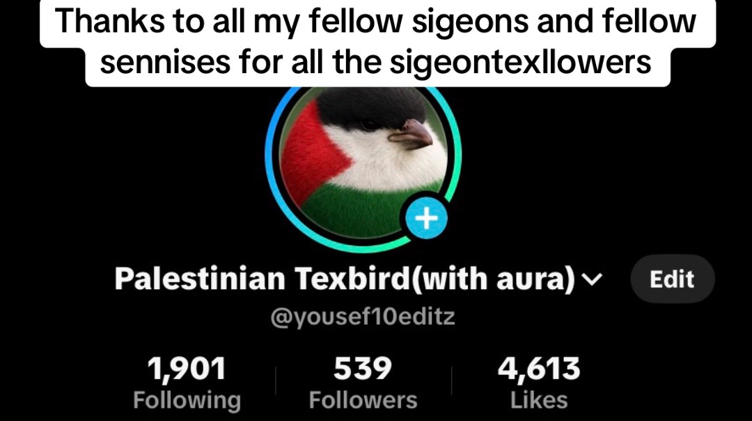 @Palestinian Texbird(with aura)
