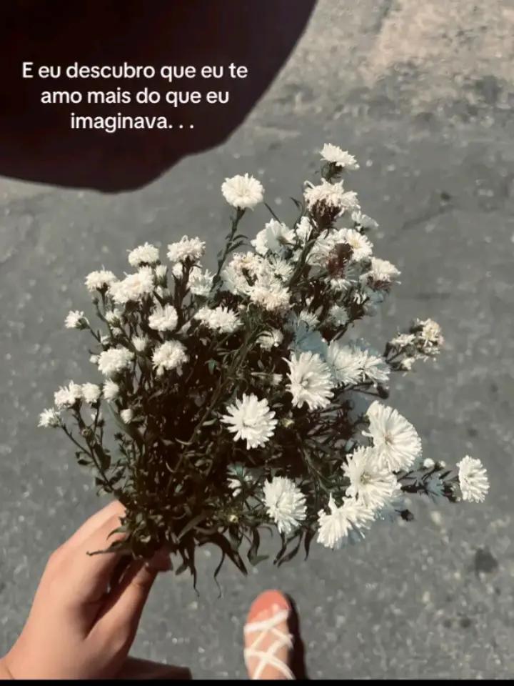 @_Catolicos.✨