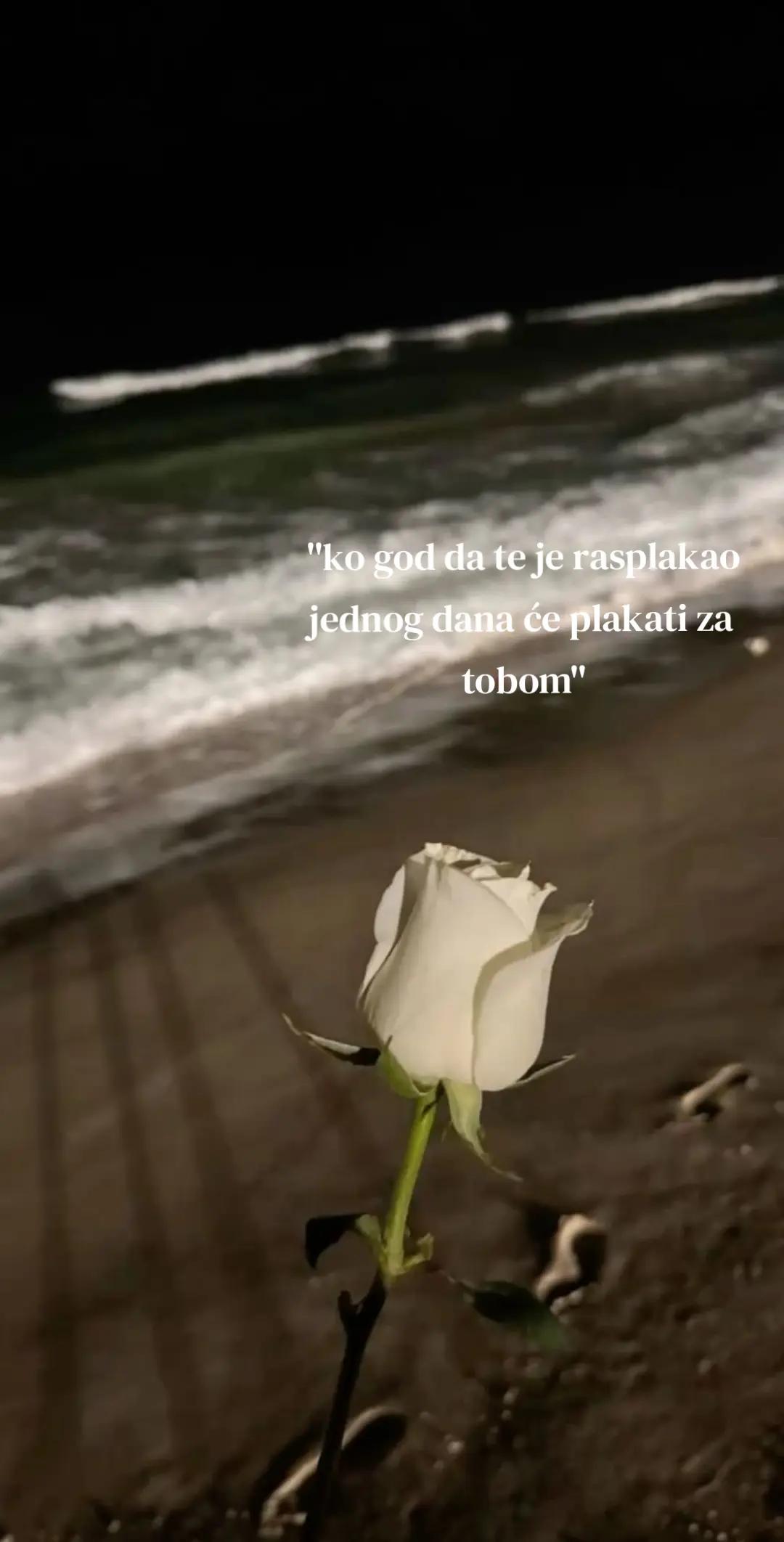 @🩷