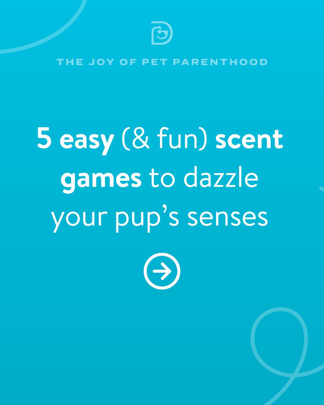 @Dogtopia