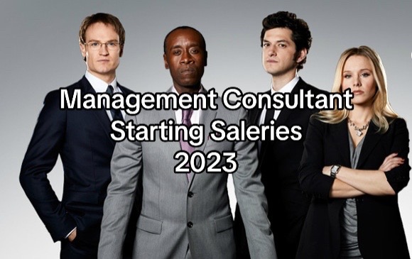 @management&ensp;consultant