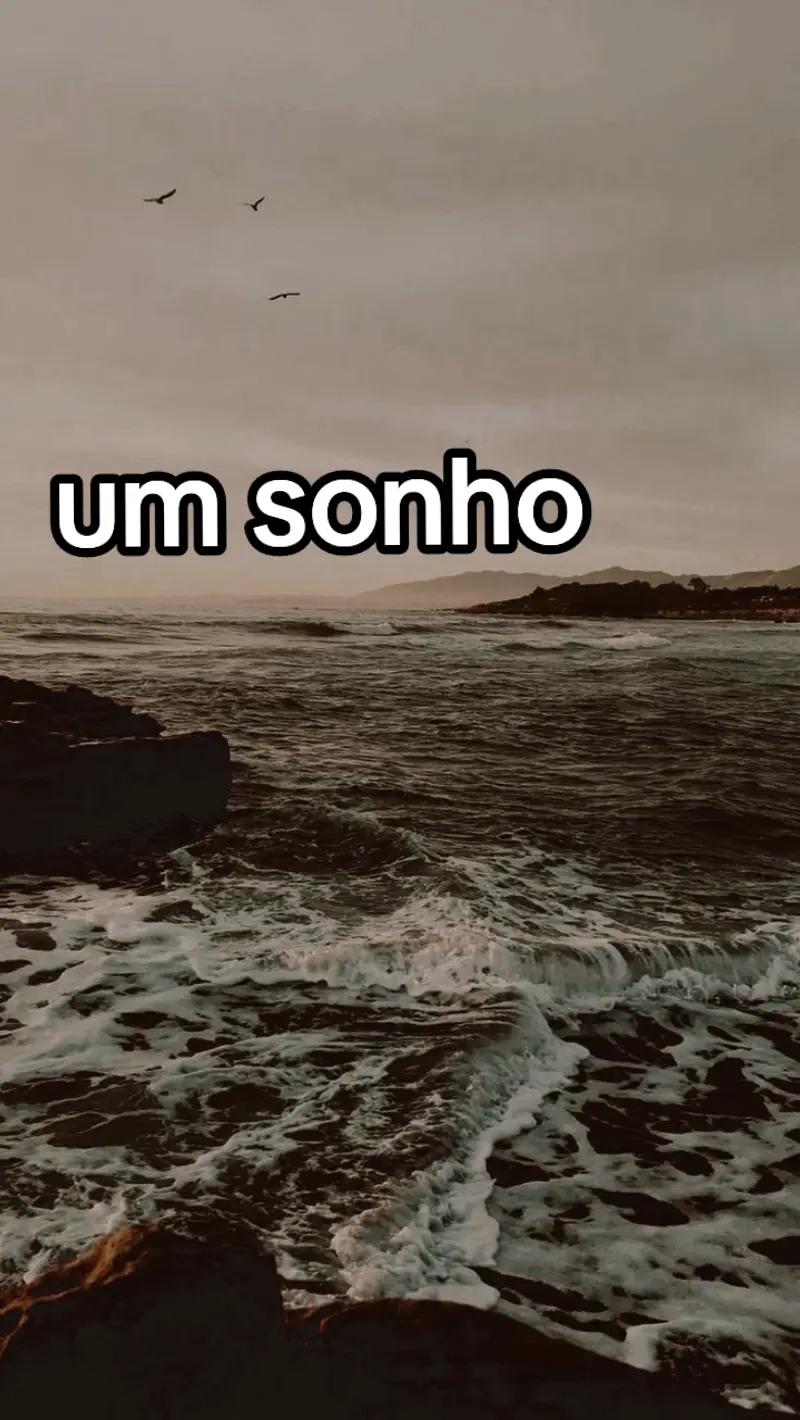 @Sophia Faria