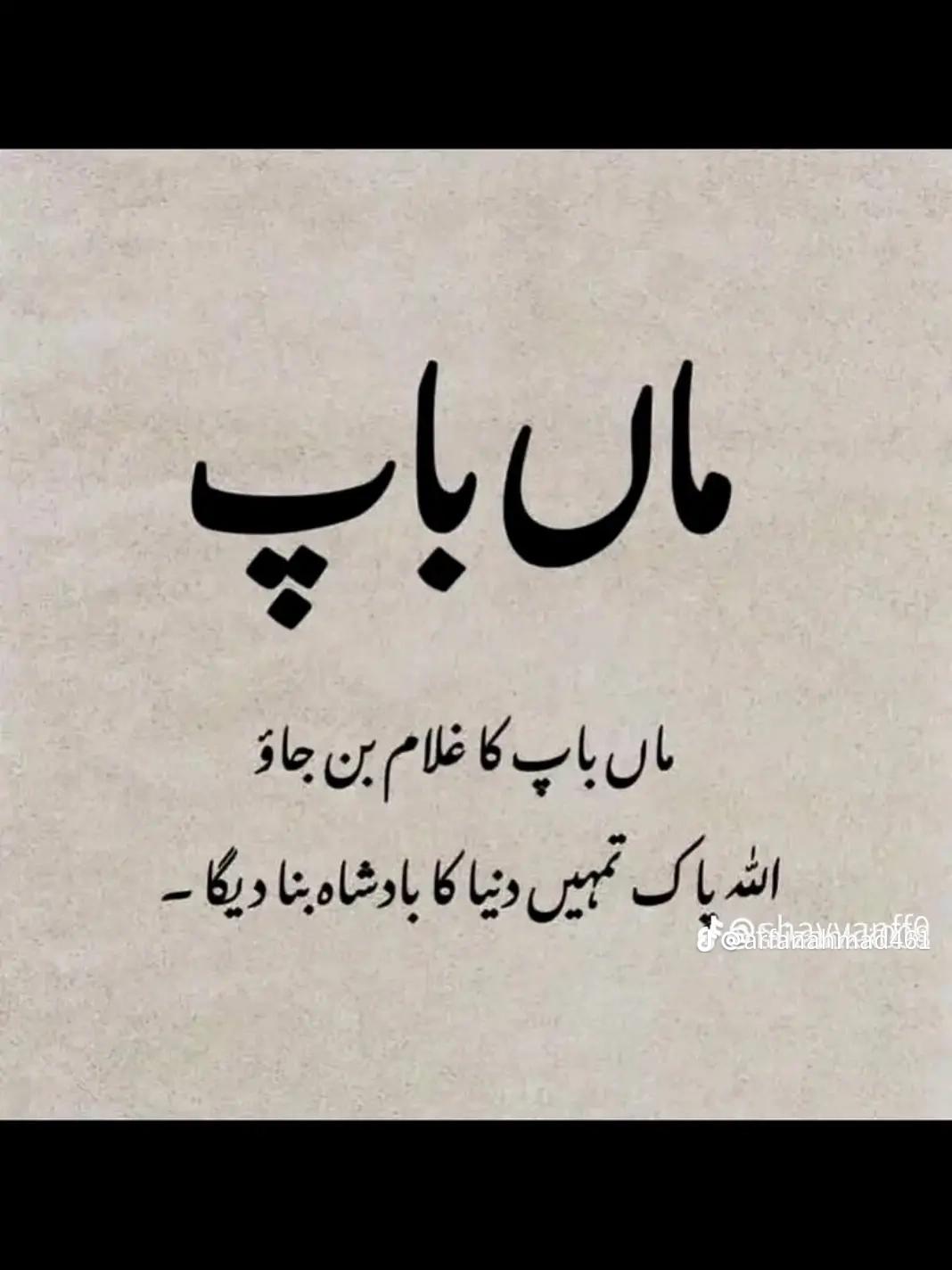 @Asif Ali🥰