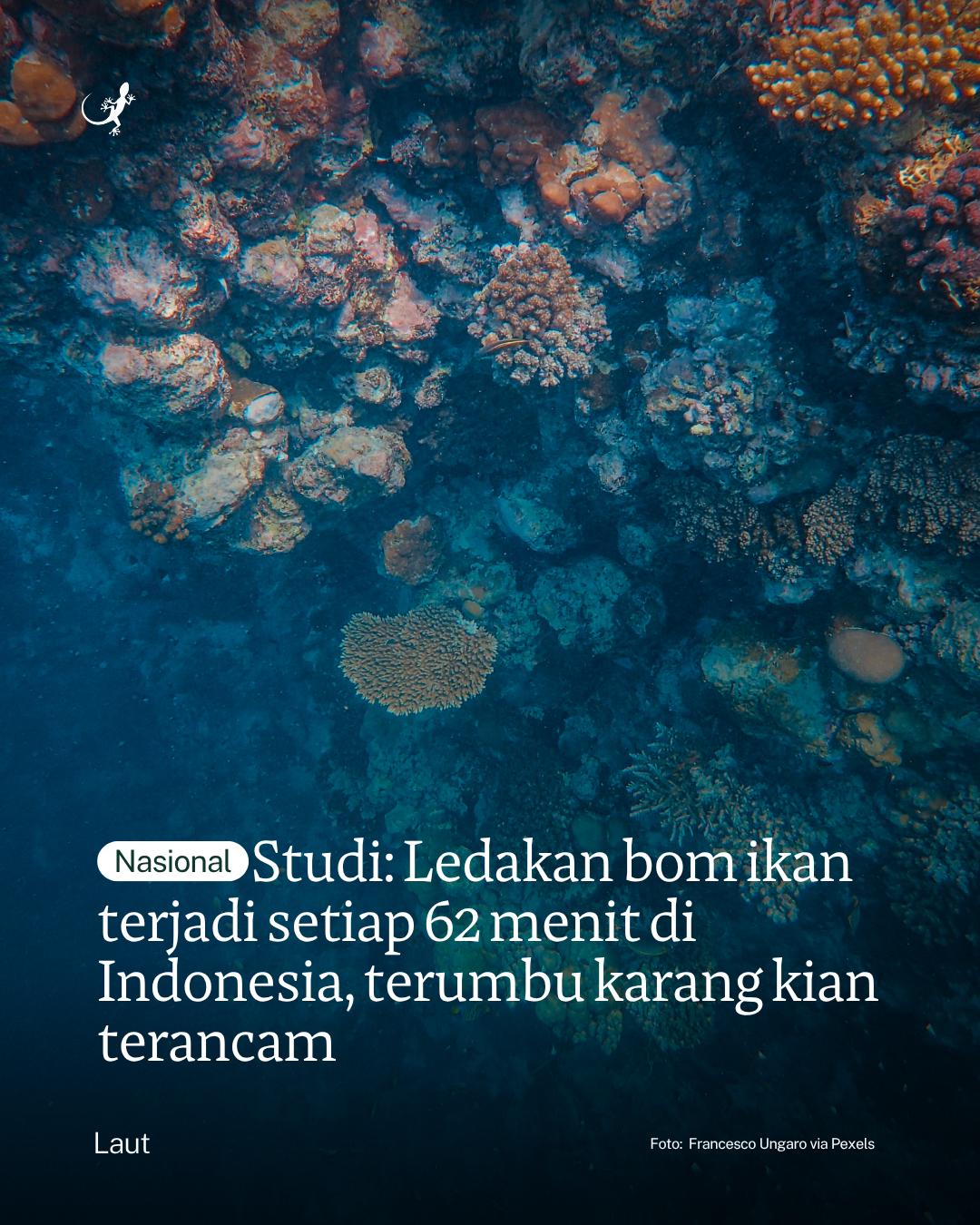 @mongabayindonesia