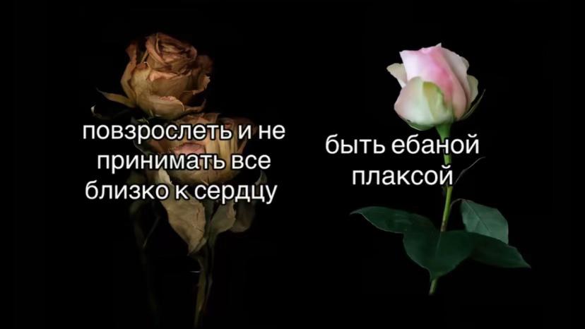 @елагина