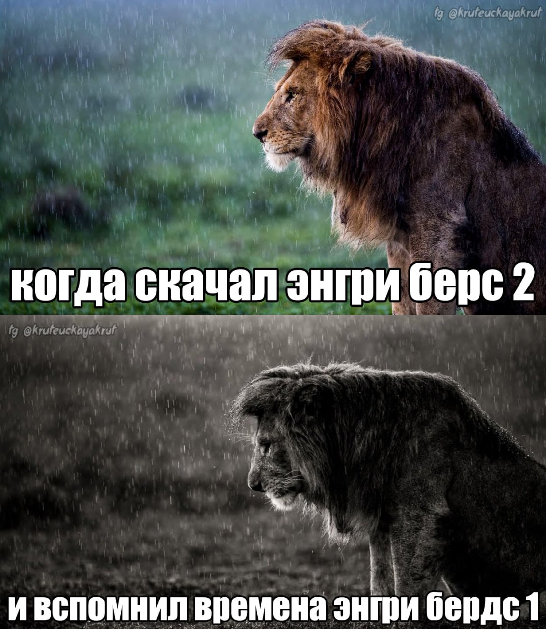 @крутецкая круть