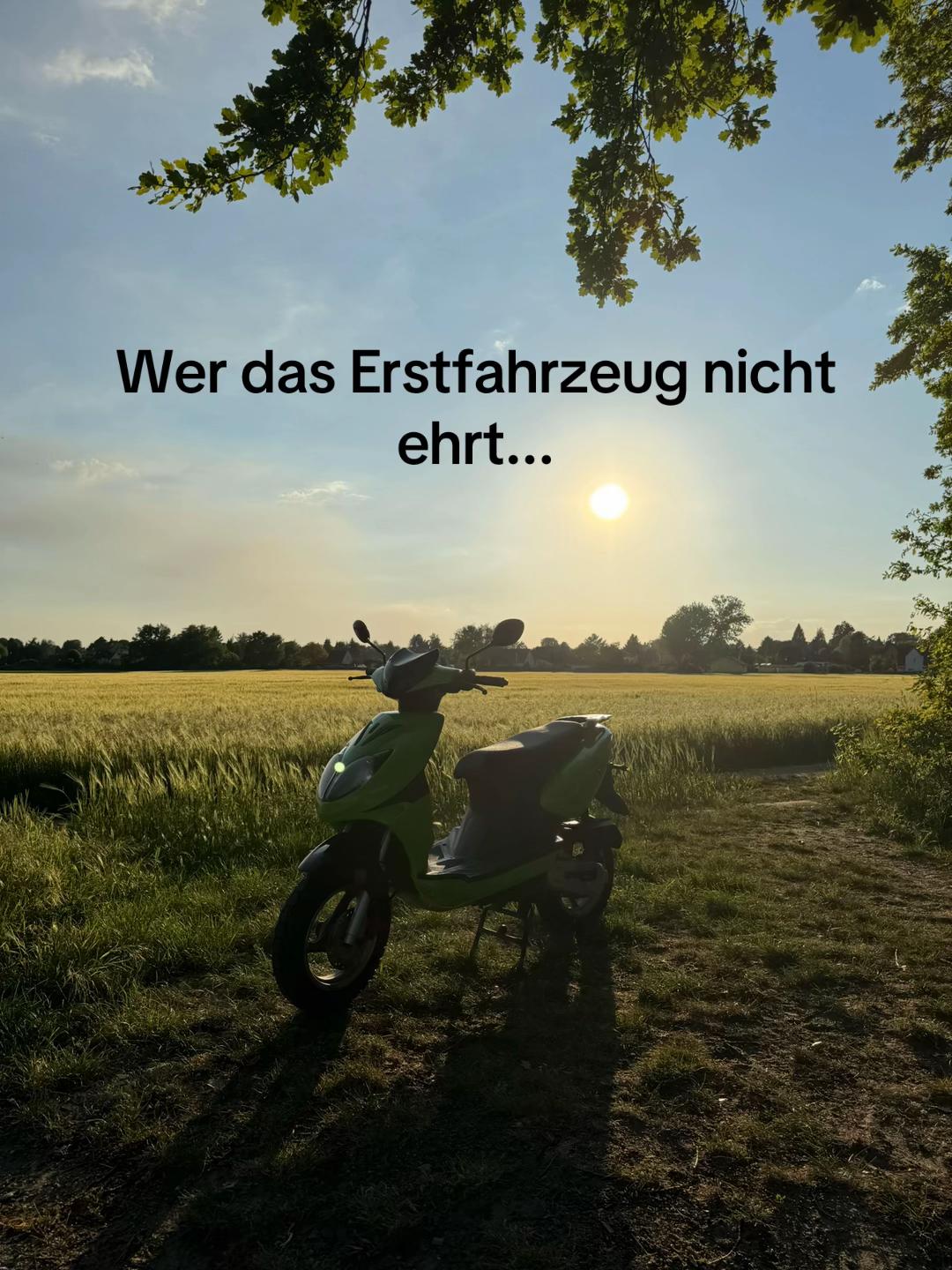 @leonnmrc