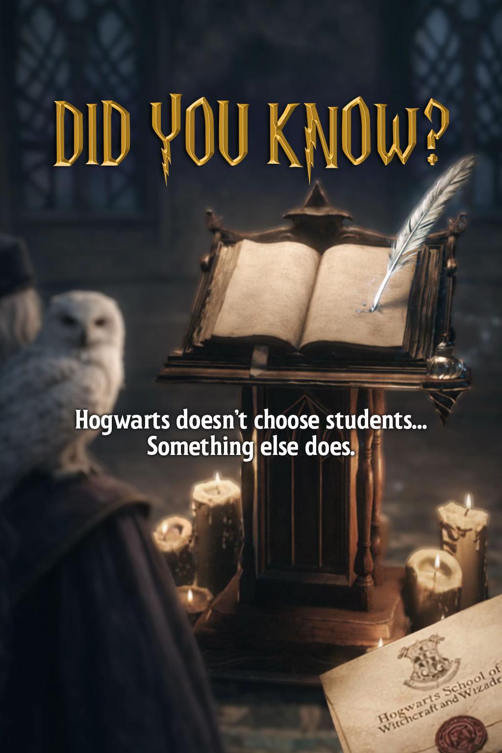 @Beyond Hogwarts