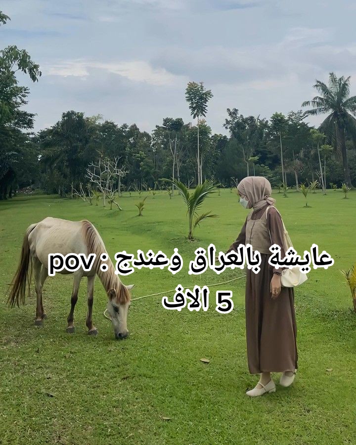 @✪ evestore7000
