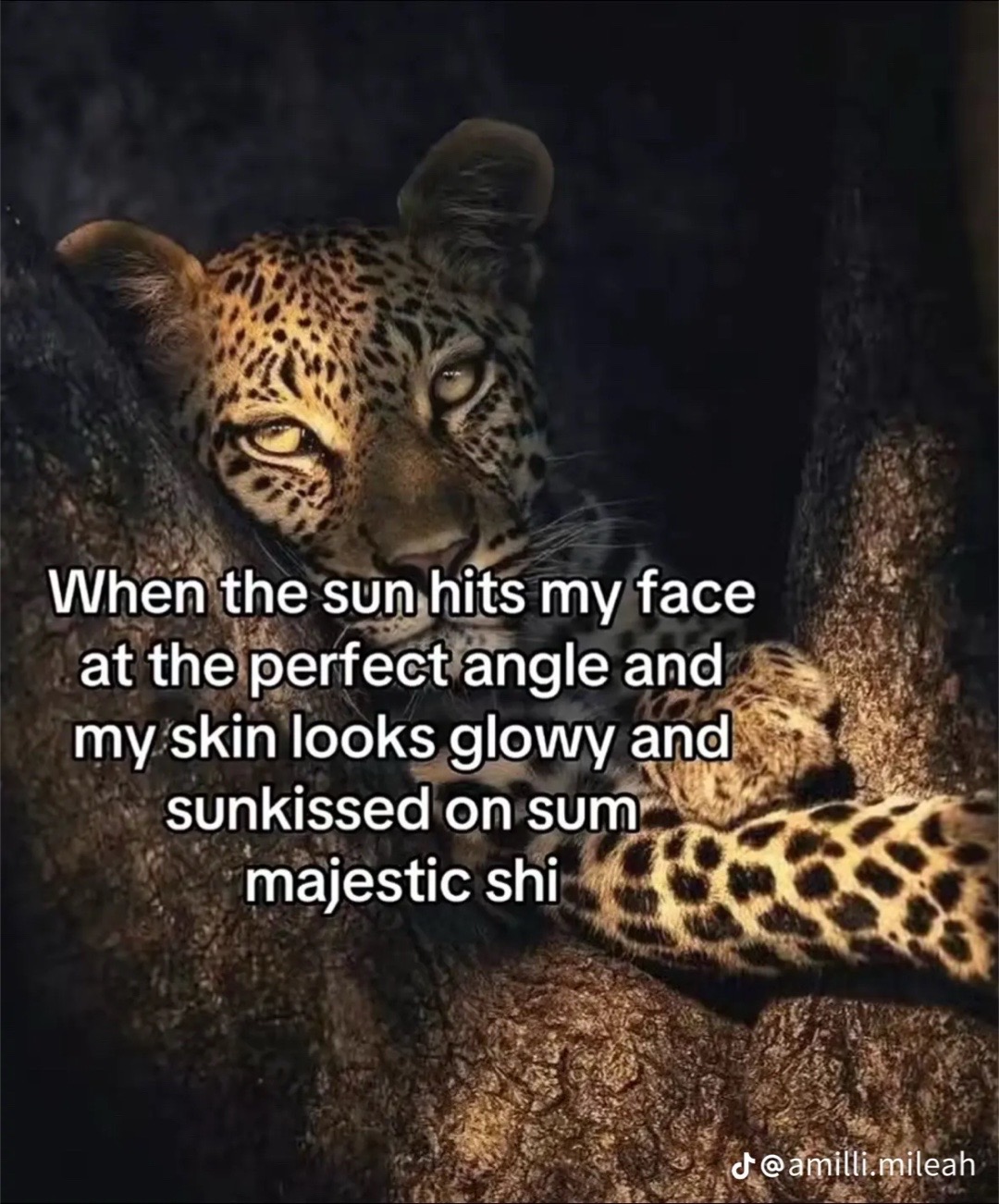 @jae