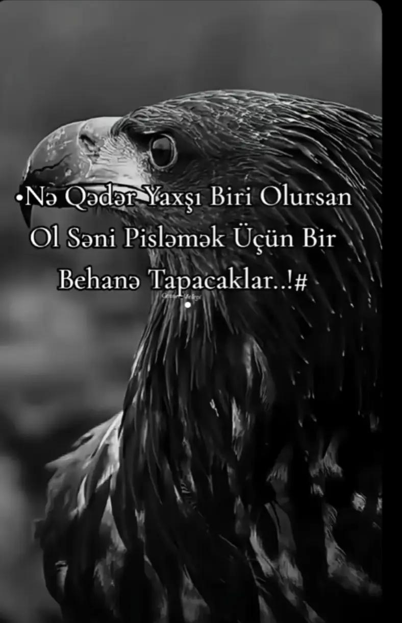 @🇦🇿veteran🇦🇿