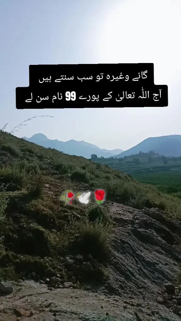 @✨Zahir_khan✨