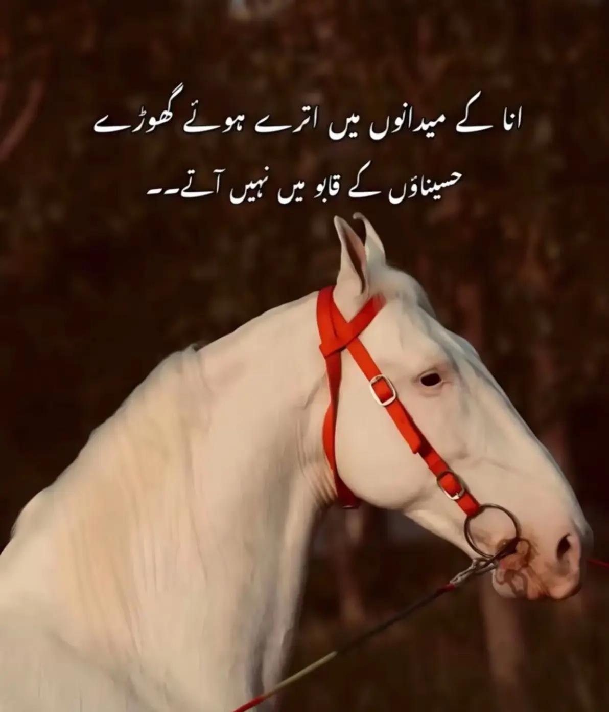 @Umar king