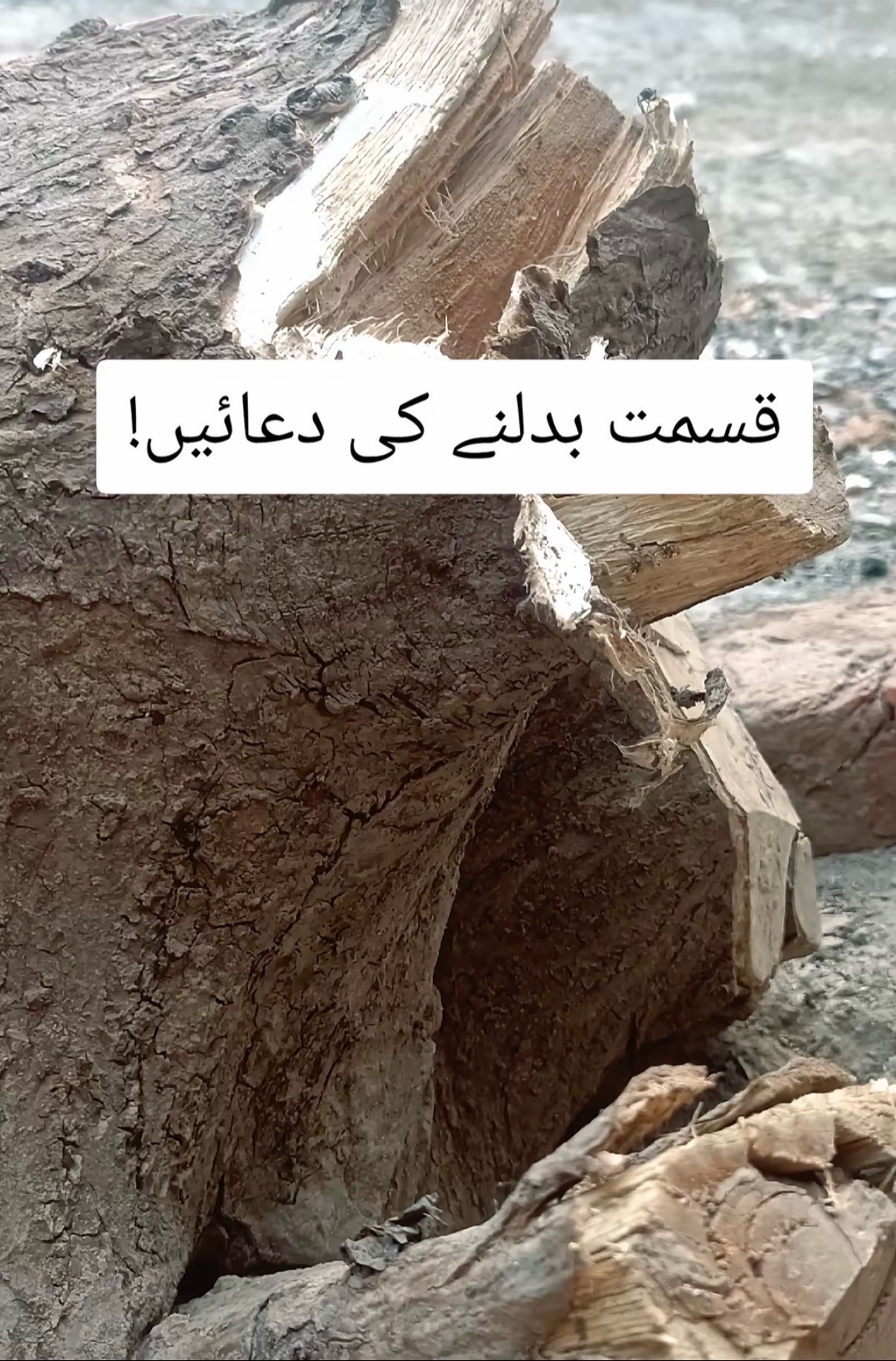 @UK khan 💕